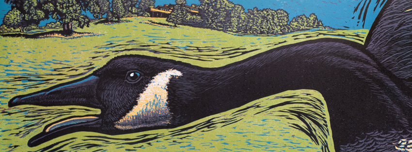 close-up of reduction woodcut of a canadian goose, Taliesin in background