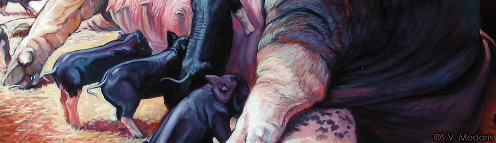 oil painting by S.V. Medaris of close-up of piglets nursing
