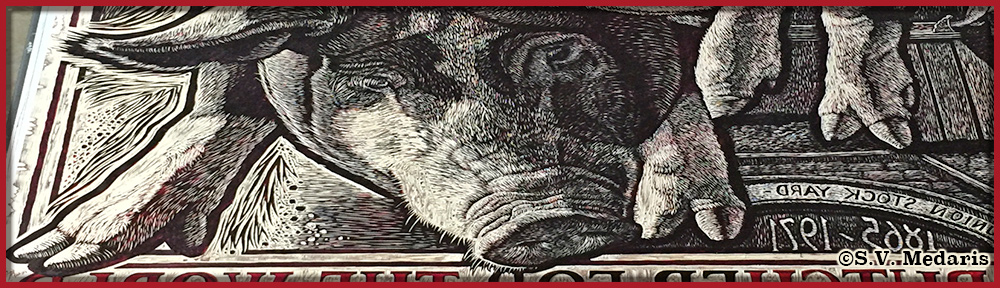 detail from large woodblock showing berkshire hog face and forelegs