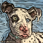 linocut of stunned, confused looking Great Dane Harlequin puppy