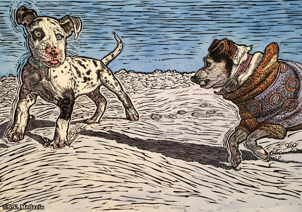 hand-colored linocut by S.V. Medaris: Great Dane puppy looks confused/startled as growling terrier prepares to attack for a 2nd time